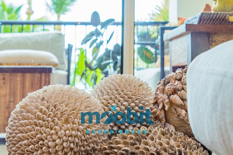 Hermoso y perfecto 2 Hab frente al mar en Cap Cana