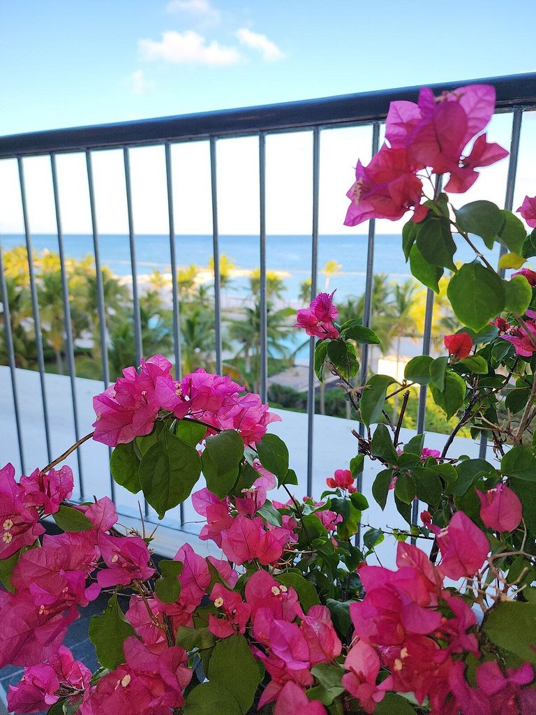 Hermoso Apt. de 3 hab. con increible vista a la playa